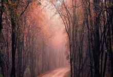 明升下载:英超第10輪阿森納3-2利物浦 炮兵重返榜首 克洛普認努涅斯需面對翻譯問題.