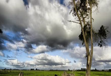 英超第2輪利物浦3-1伯恩茅斯 利物浦三叉戟齊破門!十人利物浦完成逆轉!.