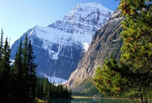 去搓麻将?😅知名狗仔爆料:弗拉霍维奇带6名应召女郎现身酒店.